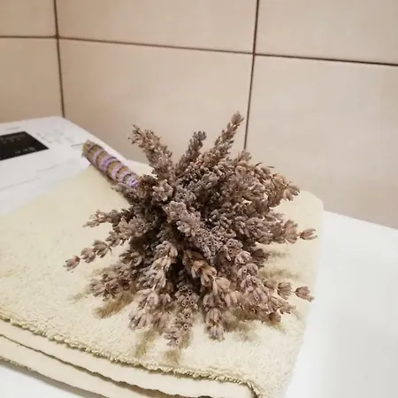 Gasthuis Jela Šibenik