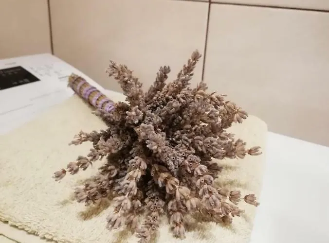 Гостевой дом Jela Шибеник